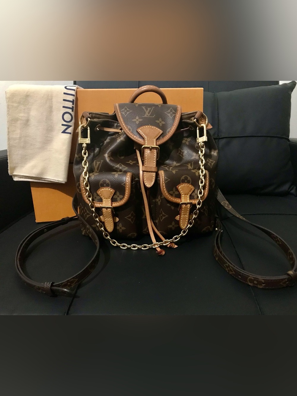 Louis Vuitton Monogram Excursion PM Backpack